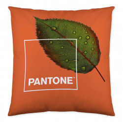Cushion cover Nature Pantone Reversible 50 x 50 cm