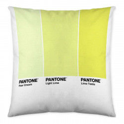 Cushion cover Ombre C Pantone Localization_B086JQZYZH Reversible 50 x 50 cm