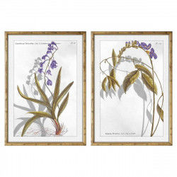 Maleri DKD Home Decor 50 x 2 x 70 cm Moderne Botaniske planter (2 enheder)