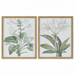 Painting DKD Home Decor 43 x 3 x 53 cm Botanical plants (2 Units)