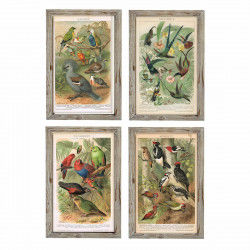 Painting DKD Home Decor 45 x 2 x 65 cm Birds Cottage (4 Pieces)