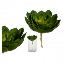 Dekorativ plante Grøn Plastik