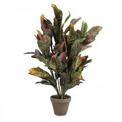 Decorative Plant Mica Decorations Croton Green PVC (73 x 40 cm)