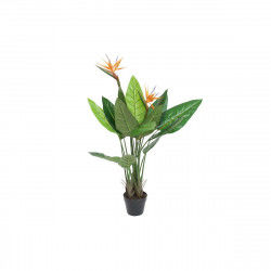 Decorative Plant DKD Home Decor (80 x 80 x 120 cm)
