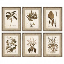 Painting DKD Home Decor 55 x 2,5 x 70 cm Modern Botanical plants (6 Pieces)