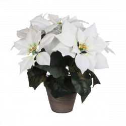 Dekorativ plante Hvid PVC (27 X 35 CM)