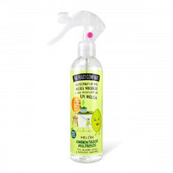 Air Freshener Spray The Fruit Company Melon (250 ml)