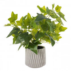 Decorative Plant Cement PEVA Ivy 12 x 12 x 39 cm