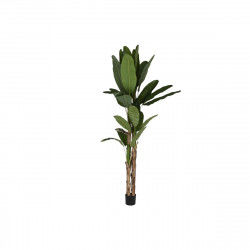 Dekorativ plante Home ESPRIT Polyetylen Cement Bananplante 90 x 90 x 290 cm