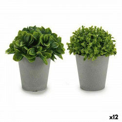 Dekorativ plante Plastik 13 x 17 x 13 cm (12 enheder)