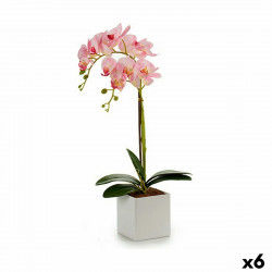 Plante décorative Orchidée 18 x 47 x 14 cm Plastique (6 Unités)