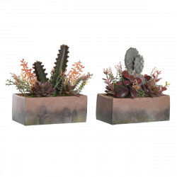 Decorative Plant DKD Home Decor 19 x 9 x 22 cm Pink Orange Cactus Eva Rubber...