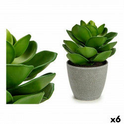 Decorative Plant Grey Green (16 x 21 x 16 cm) (6 Units)