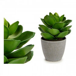 Decorative Plant Grey 16 x 21 x 16 cm Green Plastic
