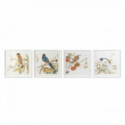Painting DKD Home Decor 60 x 2,5 x 60 cm Bird Shabby Chic (4 Pieces)