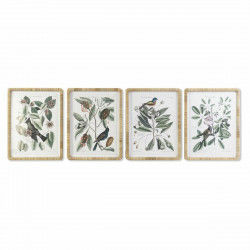 Painting DKD Home Decor 50 x 2,5 x 65 cm Shabby Chic Botanical plants (4 Pieces)