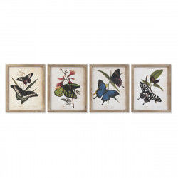 Painting DKD Home Decor Butterflies 40 x 2 x 50 cm Shabby Chic (4 Pieces)