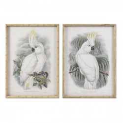Painting DKD Home Decor 50 x 2,8 x 70 cm Colonial Parrot (2 Units)