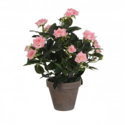 Decorative Plant Mica Decorations Rosal Ceramic PVC