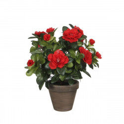 Dekorativ plante Mica Decorations 10,5 x 21,5 x 15 cm Azalea