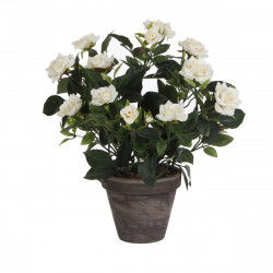 Dekorativ plante Mica Decorations Rosal Keramik PVC
