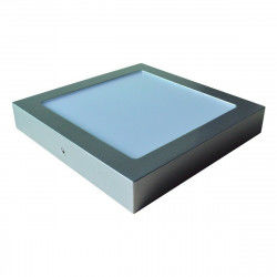Ceiling Light EDM Aluminium 20 W (6400 K)