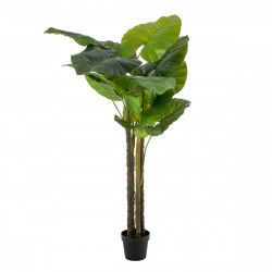Dekorativ plante 75 x 60 x 155 cm Grøn Filodendron