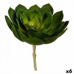 Plante décorative 22 x 19 x 19 cm Vert Plastique (6 Unités)