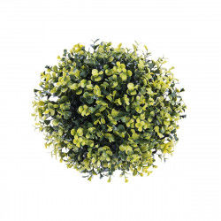 Decorative Plant   Ball Spring 20 x 20 x 20 cm