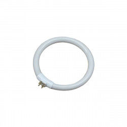 Tubo fluorescente EDM 30287 Recambio Circular T4 Blanco 12 W (6500 K)