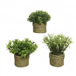 Decorative Plant Basic Home Artificial Rope Green 16 x 3 cm