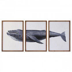 Set of 3 pictures DKD Home Decor 150 x 2 x 70 cm Whale