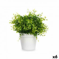 Plante décorative Plastique Petit (6 Unités)