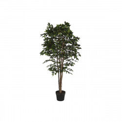 Arbre Home ESPRIT Polyéthylène Ficus 100 x 100 x 210 cm