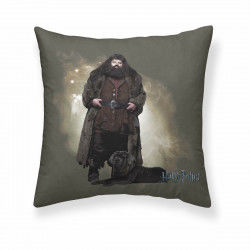 Cushion cover Harry Potter Hagrid 50 x 50 cm