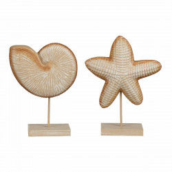 Decorative Figure Mica Decorations Light brown Shell Starfish 24 x 17 x 17 cm
