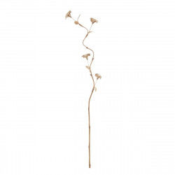 Branch Beige Flower 27 x 27 x 170 cm