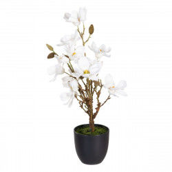 Decorative Plant Polyester Polyethylene Iron 30 x 30 x 60 cm Magnolia